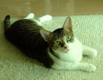 DSCF1414