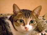 DSCF1741