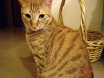 DSC015220001