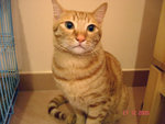DSC015310002