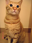 DSC015330003