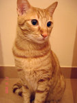 DSC015340004