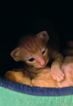 DSCF06890072