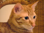 DSCF17320098