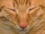 DSCF17570107
