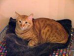 DSCF22640110