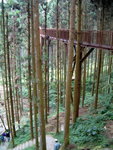 DSCF0151
