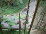 DSCF0153