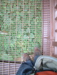 DSCF0164