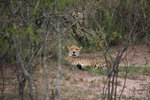 IMG_8069
