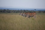 IMG_8353