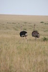 IMG_8699