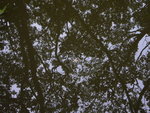 L1040612