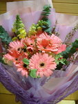 DSCF0012