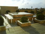 DSC02098