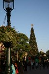 IMG_0458