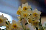 IMG_3008-1