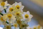 IMG_3011-1