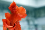 IMG_3019