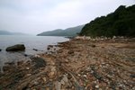 IMG_4890