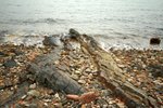 IMG_4893