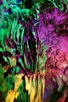 IMG_1731