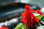 IMG_3085
