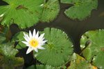IMG_3541