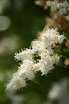 IMG_3613