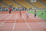 FOX_0426