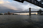 FOX20216