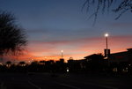 DSC_5198