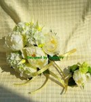 Model E42 ($230) 8"-9"