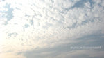 白雲紙張
IMG_2779