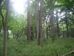 IMGP0222