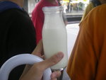 IMGP0381