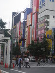 IMGP0386
