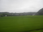 IMGP0394