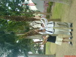 DSC00697