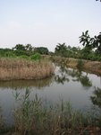 IMG_1472