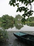 IMG_1529