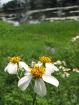 IMG_1534