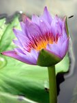 IMG_1556