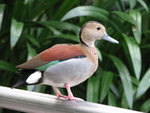 IMG_0081
