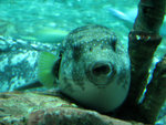 IMG_0330