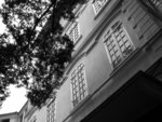 IMG_2429A