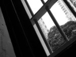 IMG_2487A