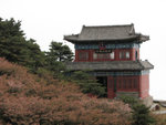 泰山