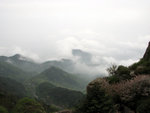 泰山