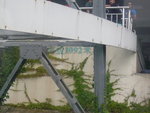 P1050352